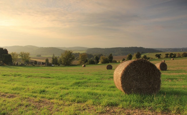 Depositphotos_7201327_original