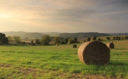 Depositphotos_7201327_original