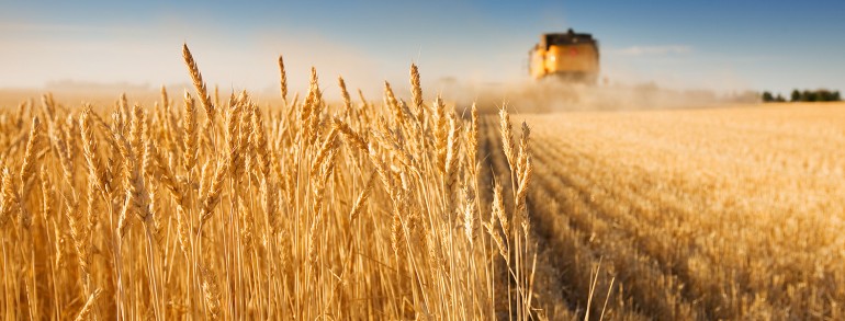 Suspendisse arcu nisl