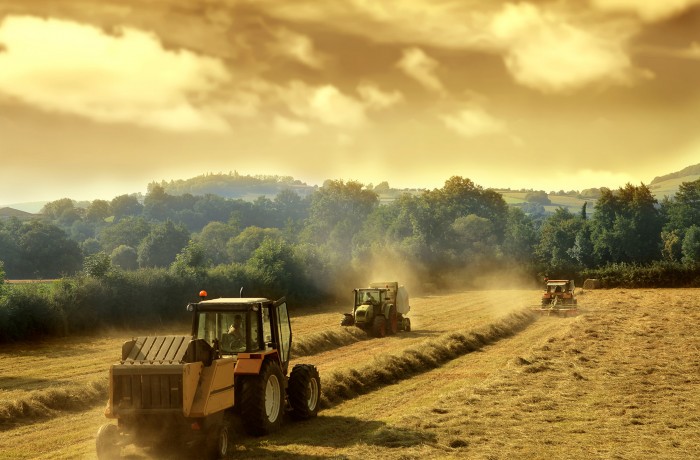 Sed blandit massa vel