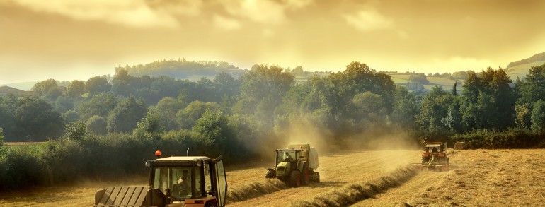 Sed blandit massa vel