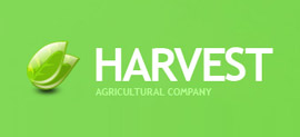 Partner Name
