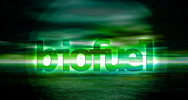 Bio-fuel