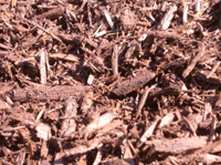 brownmulch