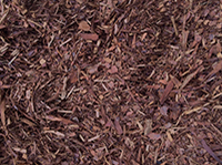 pine mulch
